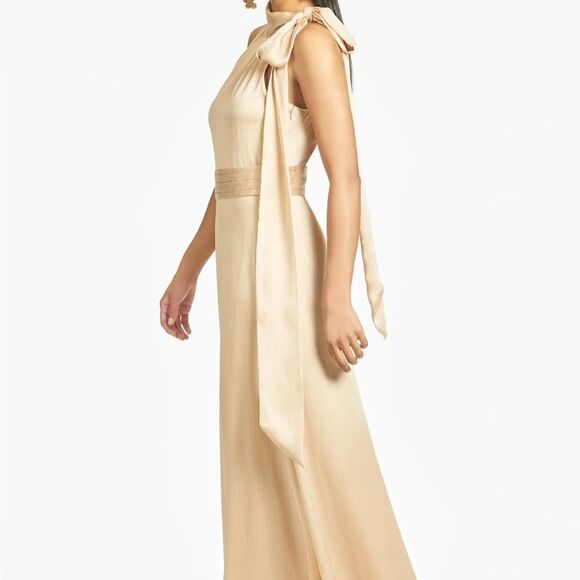 NWT Sachin + Babi KAYLA GOWN - CHAMPAGNE-P17 - Picture 2 of 6